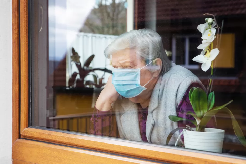 Elderly woman with short gray hair wearing blue surgical mask looks out window with wooden frame, a potted purple orchid on the windowsill